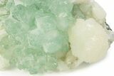 Gemmy Apophyllite Crystals with Stilbite - India #244232-2
